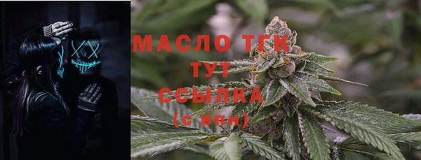 мдпв Новозыбков