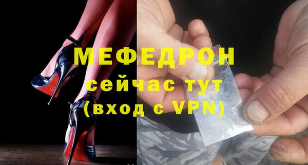 индика Новодвинск