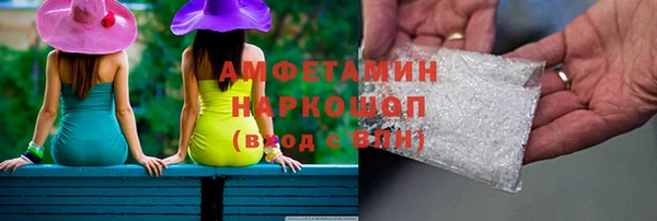 индика Новодвинск