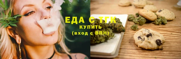 индика Новодвинск