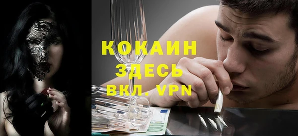 индика Новодвинск