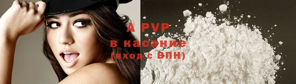 индика Новодвинск