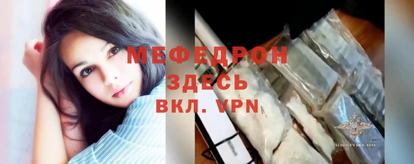 индика Новодвинск