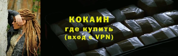 индика Новодвинск