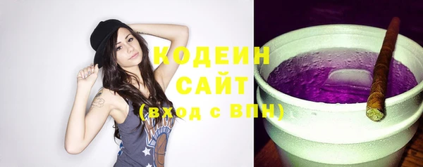 индика Новодвинск