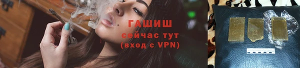 мдпв Новозыбков