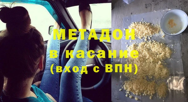 индика Новодвинск