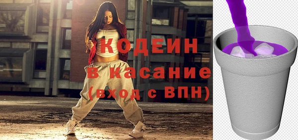 индика Новодвинск