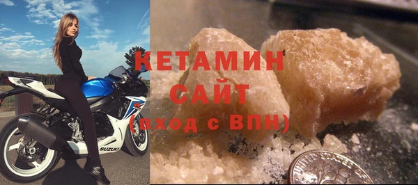 индика Новодвинск
