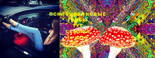 jwh Новокубанск