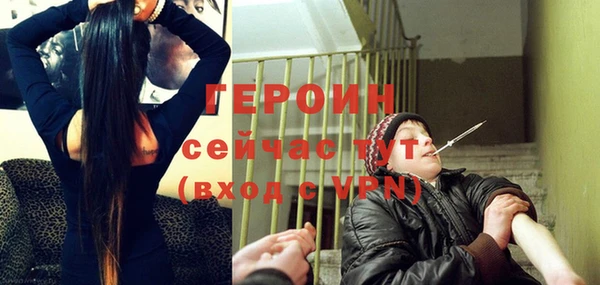 индика Новодвинск
