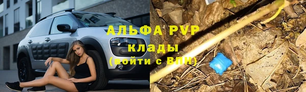 мдпв Новозыбков
