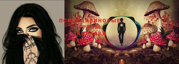 дурь Тобольск