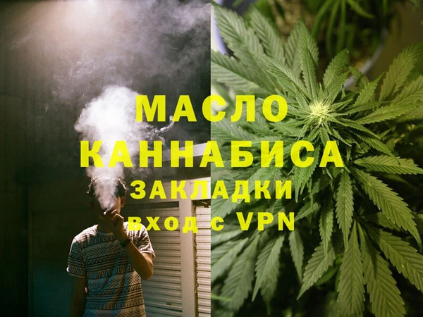 индика Новодвинск