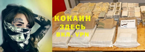 индика Новодвинск