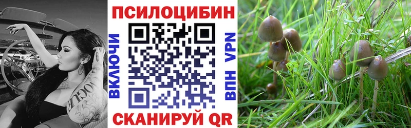 Псилоцибиновые грибы GOLDEN TEACHER  Азнакаево 