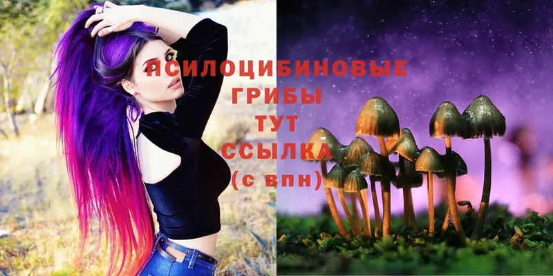 Псилоцибиновые грибы ЛСД  купить наркотик  Азнакаево 