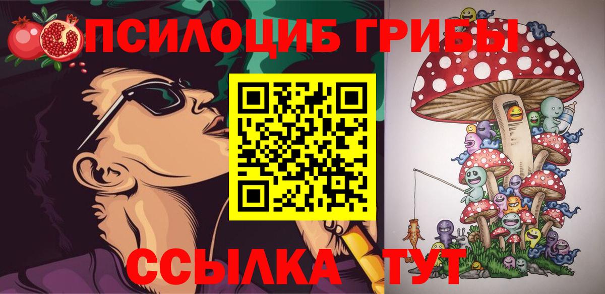 Азнакаево  Галлюциногенные грибы прущие грибы  Псилоцибиновые грибы MAGIC MUSHROOMS  Вход с VPN 