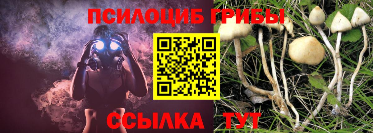Азнакаево  Галлюциногенные грибы GOLDEN TEACHER  Вход с VPN 