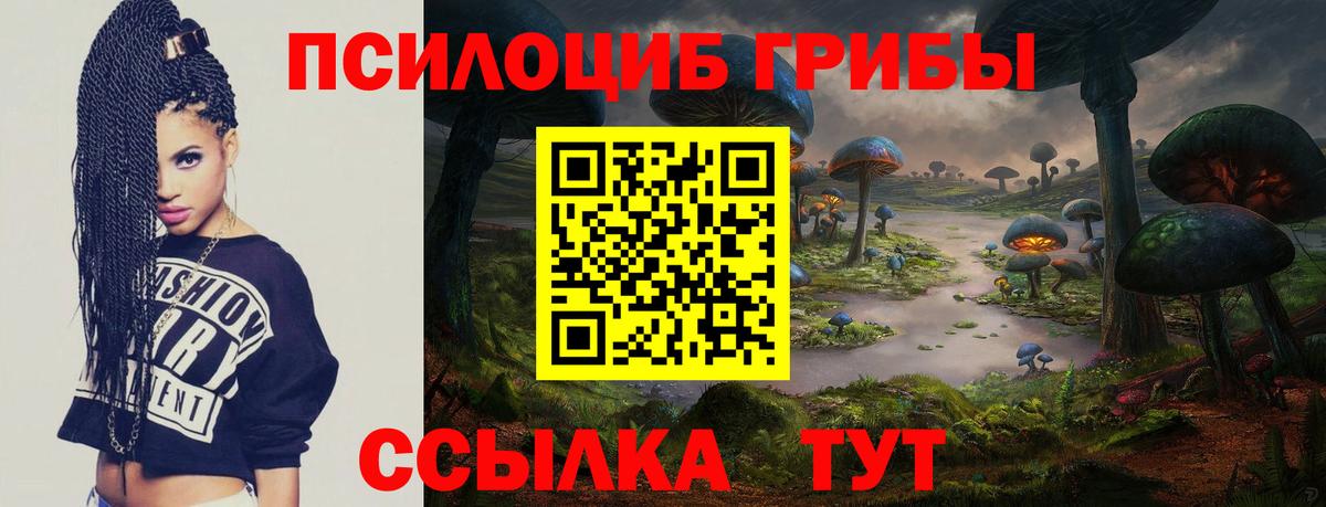 Псилоцибиновые грибы Cubensis  Азнакаево 